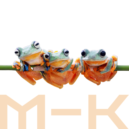 Blogartikel